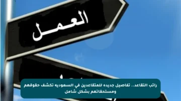 راتب التقاعد.. تفاصيل جديدة للمتقاعدين في السعودية تكشف حقوقهم ومستحقاتهم بشكل شامل